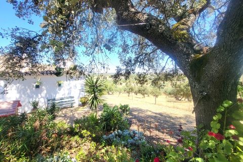 Landejendom i Evora, Evora, Evora - € 1.300.000 | Ref: JG2310 - foto 10