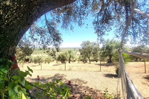 Landejendom i Evora, Evora, Evora - € 1.300.000 | Ref: JG2310 - foto 23