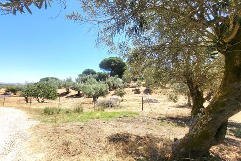 Landejendom i Evora, Evora, Evora - € 1.300.000 | Ref: JG2310 - foto 45