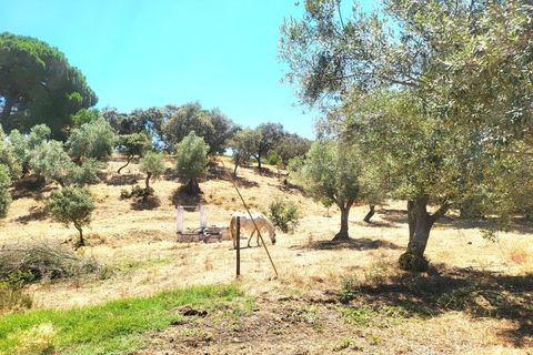 Landejendom i Evora, Evora, Evora - € 1.300.000 | Ref: JG2310 - foto 46