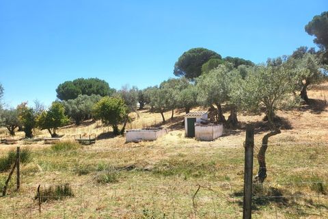 Landejendom i Evora, Evora, Evora - € 1.300.000 | Ref: JG2310 - foto 48