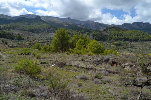 Terra a Benimantell, Alicante, Benimantell - € 152.000 | Ref: 6423 - foto 6