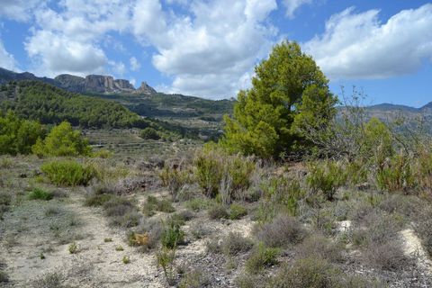 Terra a Benimantell, Alicante, Benimantell - € 152.000 | Ref: 6423 - foto 11