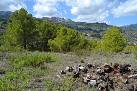Terra a Benimantell, Alicante, Benimantell - € 152.000 | Ref: 6423 - foto 13