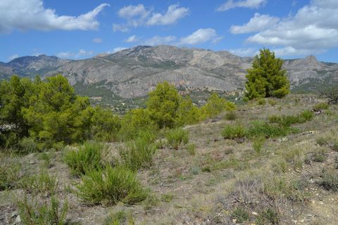 Terra a Benimantell, Alicante, Benimantell - € 152.000 | Ref: 6423 - foto 14