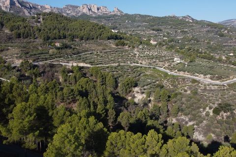 Terra a Benimantell, Alicante, Benimantell - € 152.000 | Ref: 6423 - foto 16