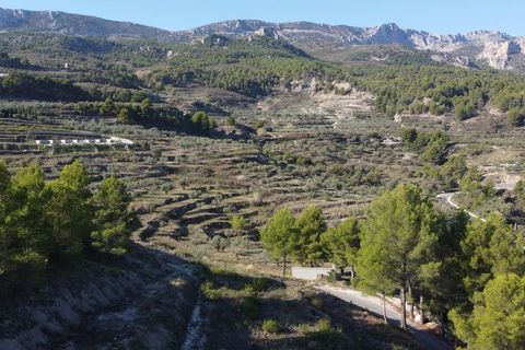 Terra a Benimantell, Alicante, Benimantell - € 152.000 | Ref: 6423 - foto 17