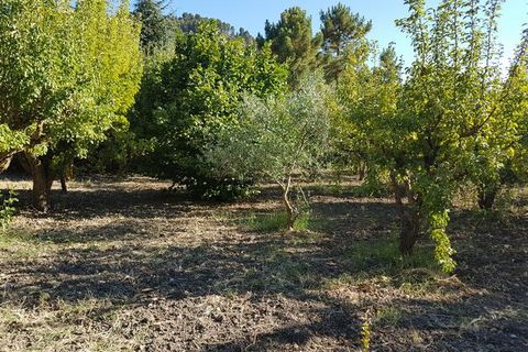 Villa i Prizzi, Palermo, Prizzi - € 190.000 | Ref: Camizzi Prizzi - foto 32