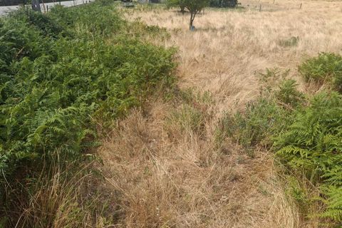 Terra a Ceivaes e Badim, Viana do Castelo, Ceivaes e Badim - € 70.000 | Ref: SF-SAFTI:007093 - foto 5