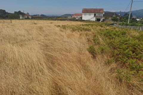 Terra a Ceivaes e Badim, Viana do Castelo, Ceivaes e Badim - € 70.000 | Ref: SF-SAFTI:007093 - foto 6
