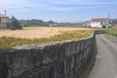 Terra a Ceivaes e Badim, Viana do Castelo, Ceivaes e Badim - € 70.000 | Ref: SF-SAFTI:007093 - foto 9