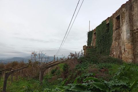 Farm i Bela, Viana do Castelo, Bela - € 55.000 | Ref: SF-SAFTI:007075 - foto 1