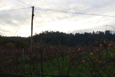 Farm i Bela, Viana do Castelo, Bela - € 55.000 | Ref: SF-SAFTI:007075 - foto 7