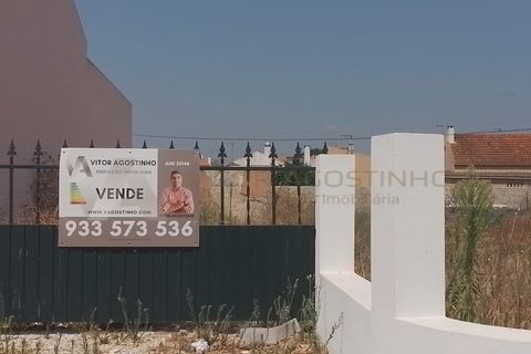 Terra a Alpiarca, Santarem, Alpiarca - € 32.500 | Ref: TU_56 - foto 2