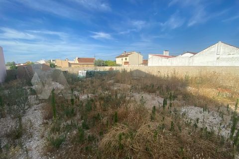 Terra a Alpiarca, Santarem, Alpiarca - € 32.500 | Ref: TU_56 - foto 4