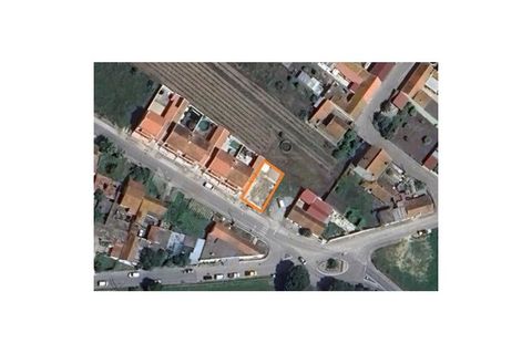 Terra a Alpiarca, Santarem, Alpiarca - € 32.500 | Ref: TU_56 - foto 3