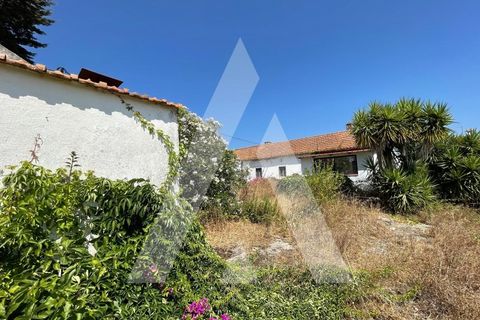 Farm i Pontevel, Santarem, Pontevel - € 285.000 | Ref: 1141330/25LA - foto 1
