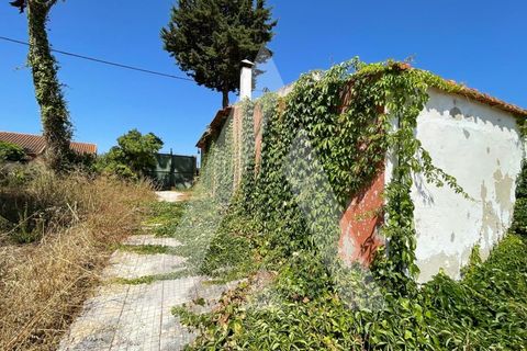 Farm i Pontevel, Santarem, Pontevel - € 285.000 | Ref: 1141330/25LA - foto 4