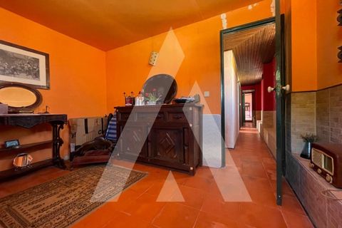 Farm i Pontevel, Santarem, Pontevel - € 285.000 | Ref: 1141330/25LA - foto 10
