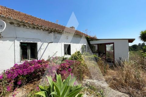 Farm i Pontevel, Santarem, Pontevel - € 285.000 | Ref: 1141330/25LA - foto 18