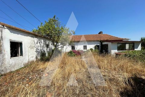 Farm i Pontevel, Santarem, Pontevel - € 285.000 | Ref: 1141330/25LA - foto 3