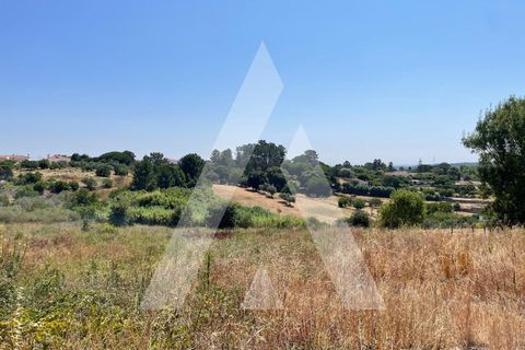 Farm i Pontevel, Santarem, Pontevel - € 285.000 | Ref: 1141330/25LA - foto 19