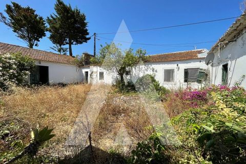 Farm i Pontevel, Santarem, Pontevel - € 285.000 | Ref: 1141330/25LA - foto 2