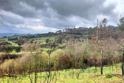 Landejendom i Mangualde, Viseu, Mangualde - € 80.000 | Ref: 389250122 - foto 1