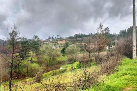 Landejendom i Mangualde, Viseu, Mangualde - € 80.000 | Ref: 389250122 - foto 3