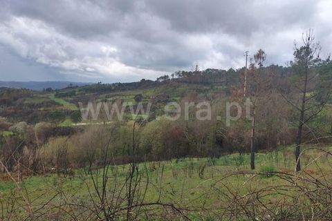 Landejendom i Mangualde, Viseu, Mangualde - € 80.000 | Ref: 389250122 - foto 4