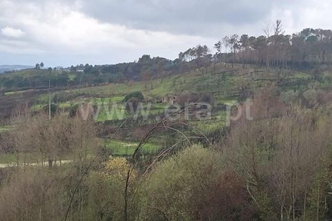 Landejendom i Mangualde, Viseu, Mangualde - € 80.000 | Ref: 389250122 - foto 5