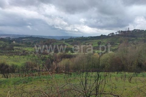 Landejendom i Mangualde, Viseu, Mangualde - € 80.000 | Ref: 389250122 - foto 6