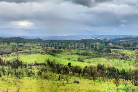 Landejendom i Mangualde, Viseu, Mangualde - € 80.000 | Ref: 389250122 - foto 7