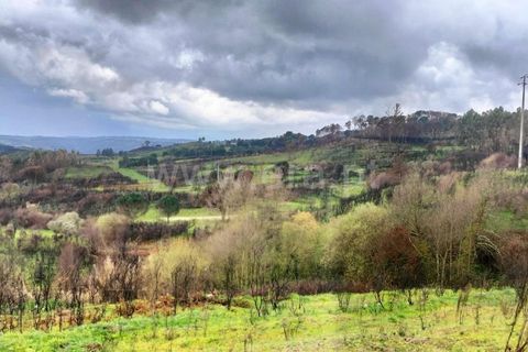 Landejendom i Mangualde, Viseu, Mangualde - € 80.000 | Ref: 389250122 - foto 9