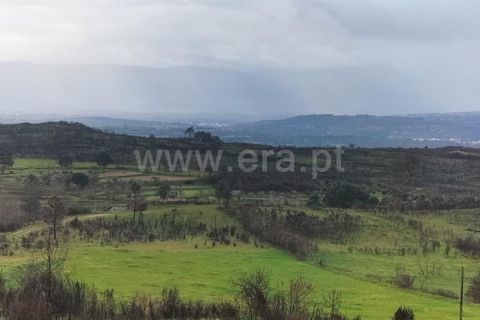 Landejendom i Mangualde, Viseu, Mangualde - € 80.000 | Ref: 389250122 - foto 10