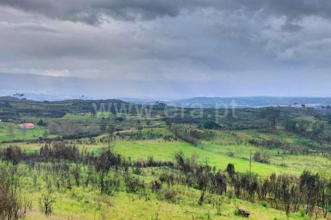 Landejendom i Mangualde, Viseu, Mangualde - € 80.000 | Ref: 389250122 - foto 11