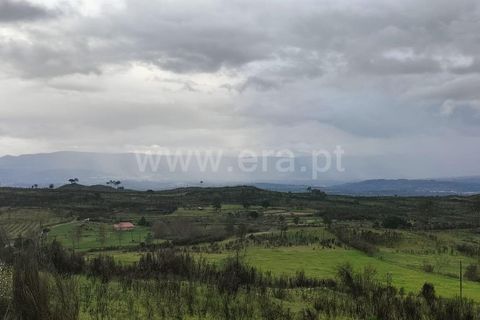 Landejendom i Mangualde, Viseu, Mangualde - € 80.000 | Ref: 389250122 - foto 12