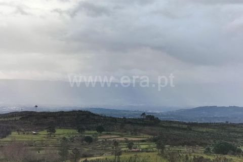 Landejendom i Mangualde, Viseu, Mangualde - € 80.000 | Ref: 389250122 - foto 13