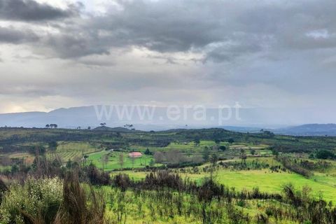 Landejendom i Mangualde, Viseu, Mangualde - € 80.000 | Ref: 389250122 - foto 14