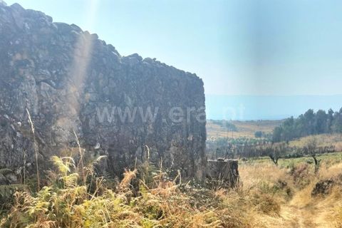 Landejendom i Mangualde, Viseu, Mangualde - € 80.000 | Ref: 389250122 - foto 15