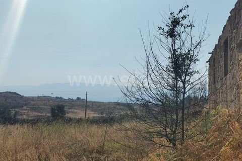 Landejendom i Mangualde, Viseu, Mangualde - € 80.000 | Ref: 389250122 - foto 16