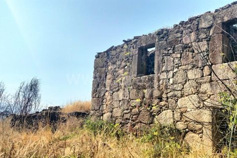 Landejendom i Mangualde, Viseu, Mangualde - € 80.000 | Ref: 389250122 - foto 17
