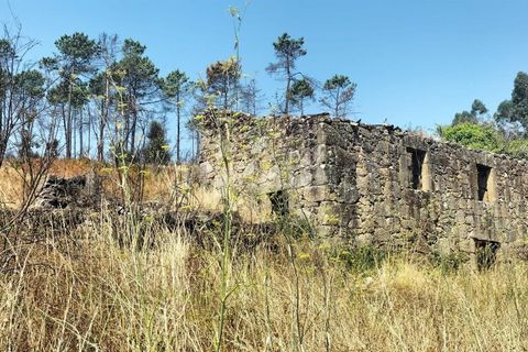 Landejendom i Mangualde, Viseu, Mangualde - € 80.000 | Ref: 389250122 - foto 20