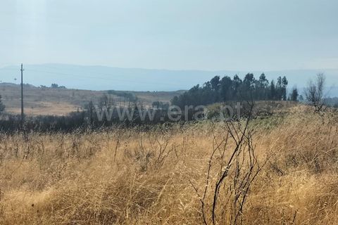 Landejendom i Mangualde, Viseu, Mangualde - € 80.000 | Ref: 389250122 - foto 22