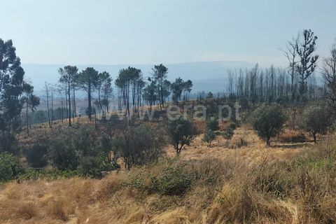 Landejendom i Mangualde, Viseu, Mangualde - € 80.000 | Ref: 389250122 - foto 24