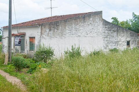 Villa i Alqueidao, Coimbra, Alqueidao - € 45.000 | Ref: 020061017 - foto 3