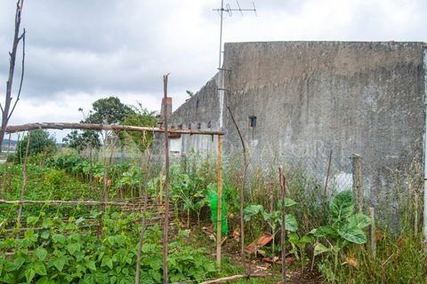 Villa i Alqueidao, Coimbra, Alqueidao - € 45.000 | Ref: 020061017 - foto 5