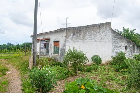 Villa i Alqueidao, Coimbra, Alqueidao - € 45.000 | Ref: 020061017 - foto 8