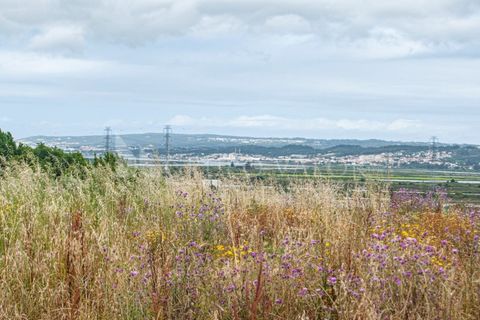 Villa i Alqueidao, Coimbra, Alqueidao - € 45.000 | Ref: 020061017 - foto 14