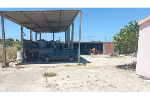 Villa i Palmela, Setubal, Palmela - € 680.000 | Ref: CC_MORI_18192 - foto 3